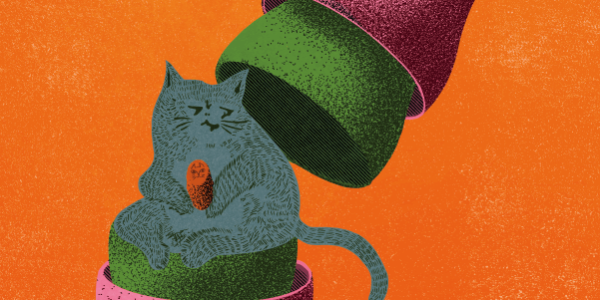 functionInstagram_th