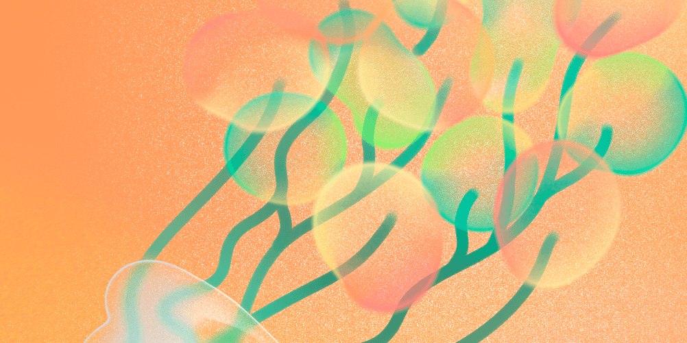 daylongweb_and_facebook_cover